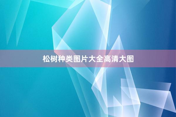松树种类图片大全高清大图