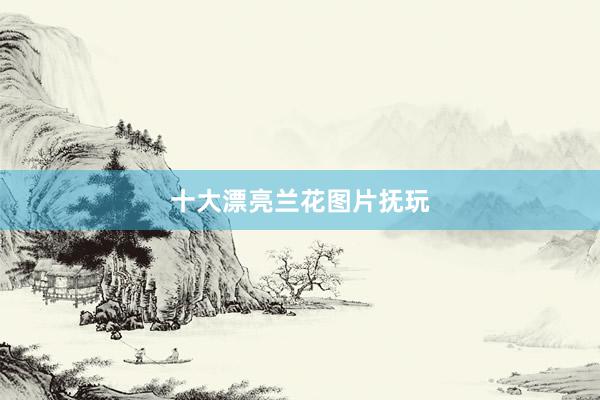 十大漂亮兰花图片抚玩